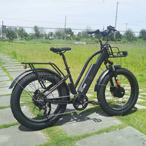 Dual Motor F 500w / <strong>R</strong> 750w Powerful Electric Mountain Bike Step Thru Fat Electronic Bicycle <strong>MTB</strong> E-bike for Adults - Product Image 6