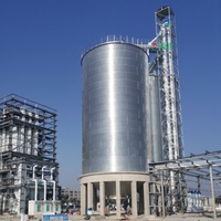 Silo in Acciaio per Stoccaggio di Grano, Mais e Riso, Serbatoio Verticale ad Alta Efficienza, Capacità 50-15000 Tonnellate, Durata 25-40 Anni