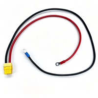 Câble d'alimentation avec connecteur XT60 et borne annulaire, faisceau d'extension de batterie en silicone pour drone, vélo électrique, pack d'énergie