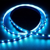 Bande lumineuse LED RGB 24V 5050 10mm de largeur 60leds/m Bandes LED flexibles