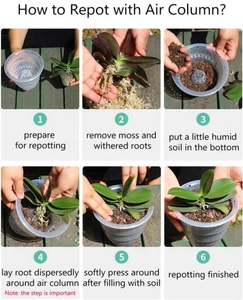 Vasi per orchidee con fori vaso da fiori in plastica trasparente durevole per tutti i tipi di <span class=keywords><strong>piante</strong></span> carnose <span class=keywords><strong>succulente</strong></span> di orchidee pianta trasparente da giardino - Product Image 6
