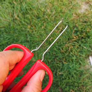 กรรไกรตัดแต่งกิ่งสแตนเลสสีแดง หัวตรง สำหรับตัดแต่งกิ่งองุ่น ผลไม้ และกิ่งไม้ - Product Image 2