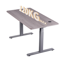 Scrivania Regolabile in Altezza a 3 Livelli con Doppio Motore OEM - Postazione di Lavoro Elettrica Sit-Stand con Capacità di Carico di 120kg per Progetti d'Ufficio