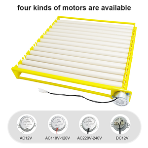 Incubadora Automática Nova <span class=keywords><strong>2026</strong></span> com Bandeja de Virada de Ovos Pequena para 156 Peças de Aves com Motor de 220v para Mini Incubadora - Product Image 6