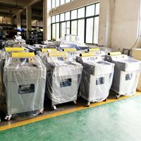 Hoog rendement automatische PVC clingfilm verpakkingsmachine voor supermarkt punnet trays, geschikt voor voedsel, vlees, champignons, fruit en groenten