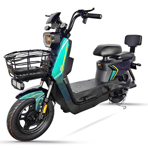 Kit de conversion de vélo pour voitures, vélos adultes, vélos de ville, vélos pliants, moto électrique 750W, moto électrique 2000W, vélo électrique à 3 roues pour adultes, entrepôt américain - Product Image 1