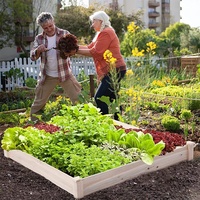 Pot de fleurs, bac à jardin surélevé, bois de cèdre naturel, bac à plantes surélevé avec doublure pour fleurs, légumes, herbes
