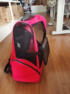 Chariot de luxe pour animal de compagnie, avec roulettes, pour sorties, voyages, chien, chat, - Product Image 5