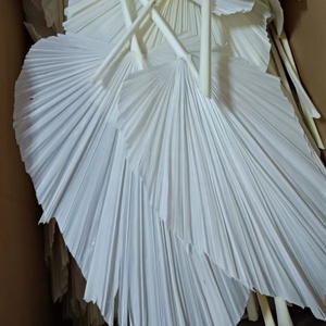 Grandes feuilles de <span class=keywords><strong>palmier</strong></span> séchées pour la maison, les événements, les mariages, la décoration et les bouquets de fleurs - Product Image 5