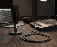 Câble de microphone professionnel en PVC, paire torsadée stéréo/TRS mâle-mâle, fil blindé tressé