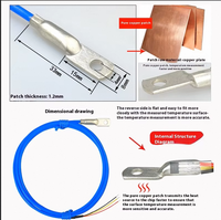 Sonde de température professionnelle chinoise DS18B20 spécifications multiples sonde de température de nez de pression froide soignée étanche