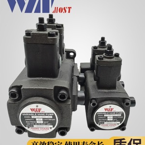 ปั๊มวาล์วแปรผัน Winmost รุ่น VP DF 12A B12C D ปั๊มน้ำมันไฮดรอลิกสำหรับใช้งานในอุตสาหกรรม - Product Image 1