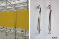 Rouleau de colle adhésive double face solide jetable de 20 cm * 100 m pour pièges à insectes, mouches et abeilles