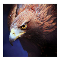 Peinture Diamant Personnalisée Aigle Animal DIY 5D sur Toile Polyester 30x30 pour Décoration Maison Moderne en Gros