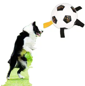 ألعاب كلاب تفاعلية داخلية خارجية مع أحزمة للكلاب ملونة طيارة للحيوانات الأليفة