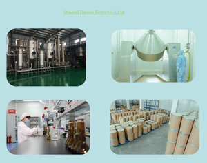 สารสกัดจากดอกต้นโสมญี่ปุ่นชนิดใหม่ ขายดี ควอเรซทิน - Product Image 5