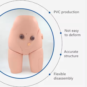 Modèle médical avancé de haute qualité pour la formation en soins infirmiers, avec parties génitales masculines, cathétérisme urétral et lavement, couleur chair - Product Image 6