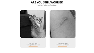 Kích Thước Vật Nuôi Các Tông Vật Nuôi Mèo Gãi Bài Nhà Hot Bán Tùy Chỉnh Thân Thiện Với Môi Tốt Nhất Tìm Kiếm Tùy Chỉnh Cho Mèo 3 Kích Thước 200Pcs - Product Image 3