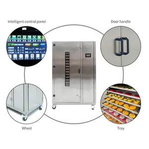 Obst Mais Industrie Gemüse Alfalfa Dehydration Maschine Horno Deshidratador De Frutas