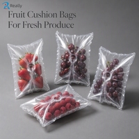 Op maat gemaakte opblaasbare tas-in-tas, luchtdichte ademende kussenluchtzak voor transportbescherming van vers fruit, druiven & frambozen
