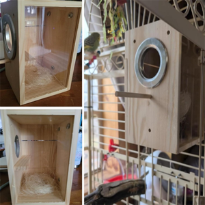 Natuurlijke Houten Parkiet Nestkast Buiten Houten Vogelhuis Voor Tuin Decoratief - Product Image 6