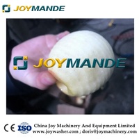 Industriële Automatische Appelkiwi Fruitschilmachine Peer Perzik Granaatappelschiller Machine