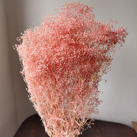 Bunga Gypsophila Elegans Mini Baru 2022, Segar dan Diawetkan, Warna Putih dan Merah Muda untuk Pernikahan, Hari Ibu, Natal
