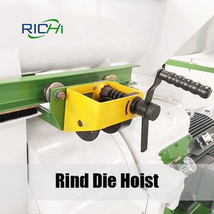 Molino de Pellets de Biomasa RICHI 1-12 T/H, Biocombustible, Pellets de Madera, Ramas de Árboles, Máquina para Hacer Pellets de Madera en Venta en el Reino Unido - Product Image 6