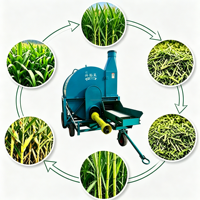 Broyeur d'ensilage haute performance à moteur diesel pour la coupe des fourrages, machine à broyer le foin, le maïs et la paille pour les fermes laitières