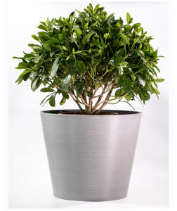 Maceta redonda personalizada grande para jardín al aire libre, maceta de PP con precio económico para uso diario - Product Image 6