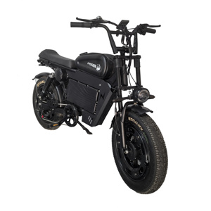 Vélo électrique 20 pouces en acier au carbone avec batterie au lithium fer phosphate, assistance au pédalage électronique sans balais, 7 vitesses, moyeu arrière 48V double - Product Image 4