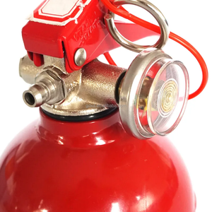 ลูกบอลเหล็กสีแดงถังดับเพลิงผงแห้ง0.5กก. ผ่านการรับรองจากจีน - Product Image 3