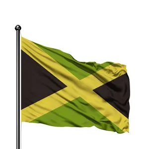 Grosir bendera di seluruh dunia poliester layar sutra Jamaika kustom menerima bendera nasional Somaliland Jamaika