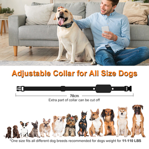 Aerosol grande y pequeño dispositivo remoto Kiuluta para dejar de ladrar pequeño ultrasónico Anti-ladrido conecta collar inteligente de ladridos para perros - Product Image 4