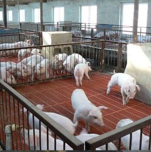 Paloma loft FRP piso, espesor entre 20-65 están disponibles en stock FRP rejilla - Product Image 4