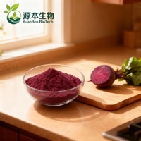 Ekstrak Buah Bit Alami yang Sangat Populer, Bubuk Bit Merah, Bahan Minuman Padat yang Larut dalam Air untuk Kue
