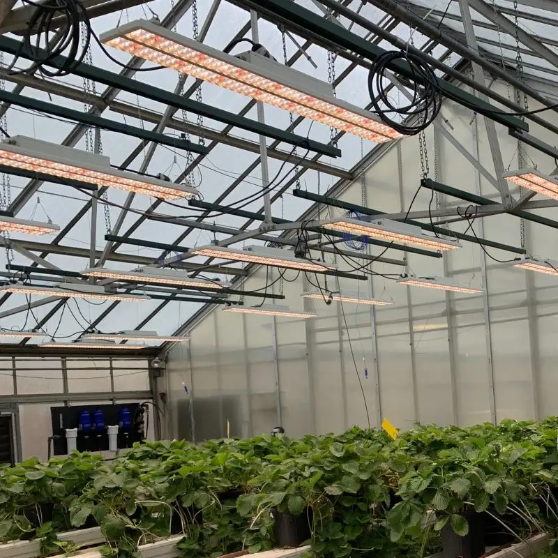 Sansi, sistema de cultivo doméstico hidropónico Vertical de alto rendimiento para interiores, luces LED de jardín agrícola, iluminación para plantas medicinales