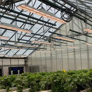 Sansi lampu LED taman pertanian, dalam ruangan hasil tinggi vertikal hidroponik sistem pertumbuhan rumah pencahayaan untuk tanaman obat
