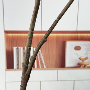 Hierba persa Yuanbao, grandes plantas de helecho de Boston artificiales, arbustos de imitación para el hogar, Garde de interior, 2 uds., 2 uds. - Product Image 4