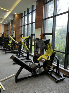 Presse à <span class=keywords><strong>jambes</strong></span> à 45 degrés à charge libre HY-DHF03, modèle commercial robuste, très vendue pour l'entraînement musculaire en salle de sport - Product Image 3