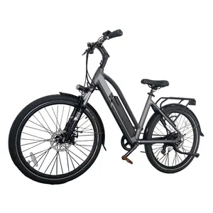 RQ -004R Good Cycling Experience Efficient Mechanical Disc Braking 250w Adult Electric City Bike