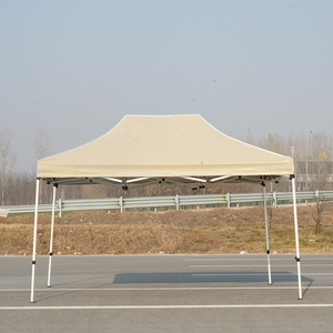 Toldo Personalizado para Exteriores Duomi, Toldo Plegable de 10x10, Carpa de Jardín - Product Image 6