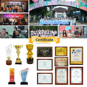 El Mejor Agente de Envíos de <span class=keywords><strong>China</strong></span>, Transitario de Carga Marítima a Francia y Bélgica desde <span class=keywords><strong>China</strong></span>, Servicio de Dropshipping DDP - Product Image 6