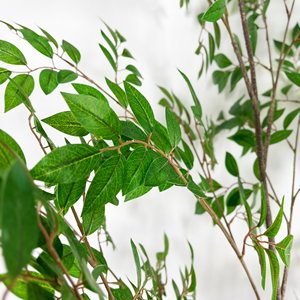 Buen <span class=keywords><strong>precio</strong></span> 165cm <span class=keywords><strong>Ficus</strong></span> Tree Artificial <span class=keywords><strong>Ficus</strong></span> Tree Planta verde artificial con maceta Faux <span class=keywords><strong>Bonsai</strong></span> Tree para Decoración - Product Image 2