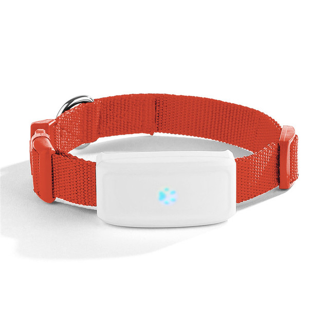 Hot Pet Mini Real Time Gps Tracker/gps Chip Wifi Location/TK911 Gps Bracelet tracker for Puppy Dog
