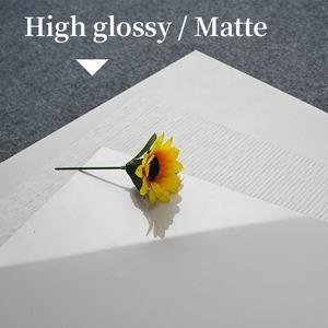 Vetrificato avorio colore bianco 600x600 gloss bianco puro lucido porcellanato pavimento campagna - Product Image 5