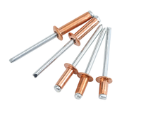 Kit de fixation pour assemblage de panneaux de carrosserie automobile en tôle : Rivets à tête dôme aveugle en cuivre à mandrin en acier à extrémité ouverte