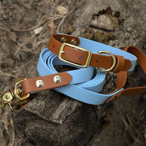 <b>Pet</b> Collar And <b>Leash</b> Set Lightweight Outdoor Dog Walking Classic Style Customizable With Logo Printing - Product Image 1