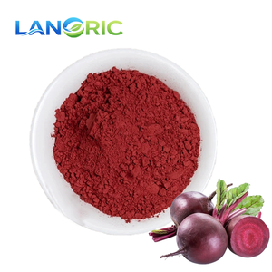 Pasokan Pabrik Bubuk Akar Bit Merah, Ekstrak Bit Merah Murni, Bubuk Bit Merah dalam Jumlah Besar - Product Image 3