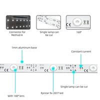Personnalisation en usine CE ROHS pour bande lumineuse LED intelligente à rétroéclairage 3000K-7000K 2835 24V/12V